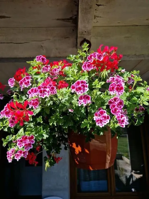 Дом отдыха Gite La Scierie, Maison Familiale, Лайоль